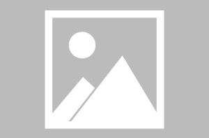 体育APP-窦靖童帮唱一句没唱冲上热搜